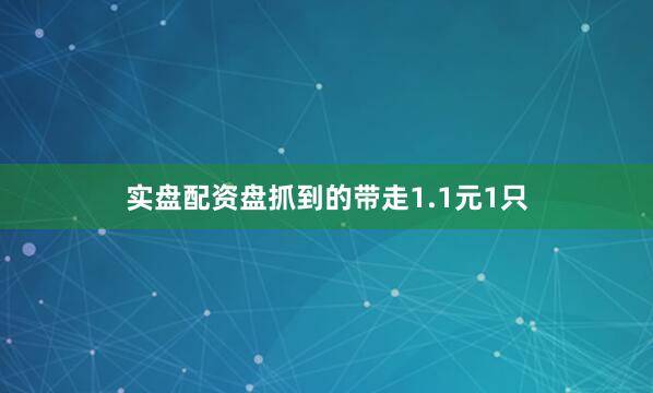 实盘配资盘抓到的带走1.1元1只
