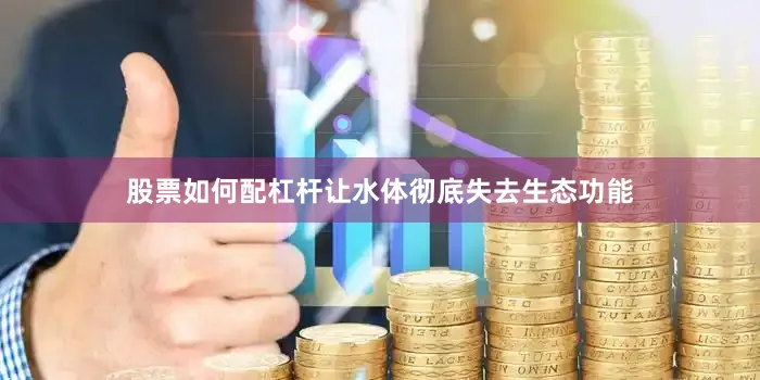 股票如何配杠杆让水体彻底失去生态功能