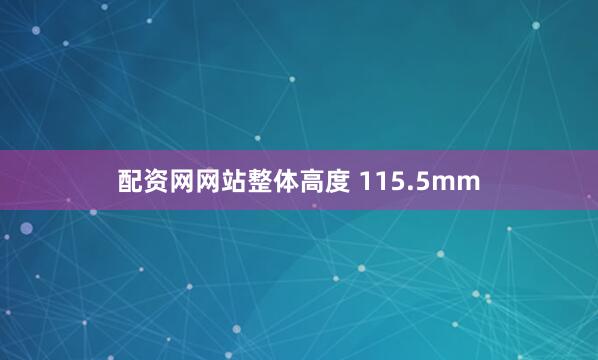 配资网网站整体高度 115.5mm
