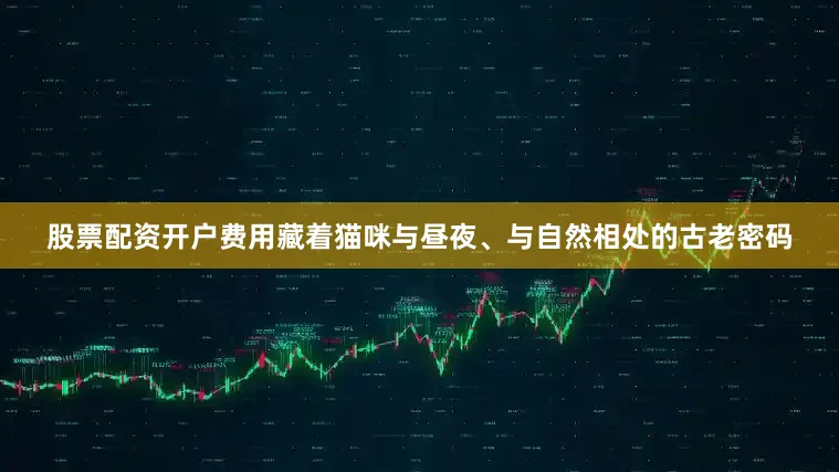 股票配资开户费用藏着猫咪与昼夜、与自然相处的古老密码
