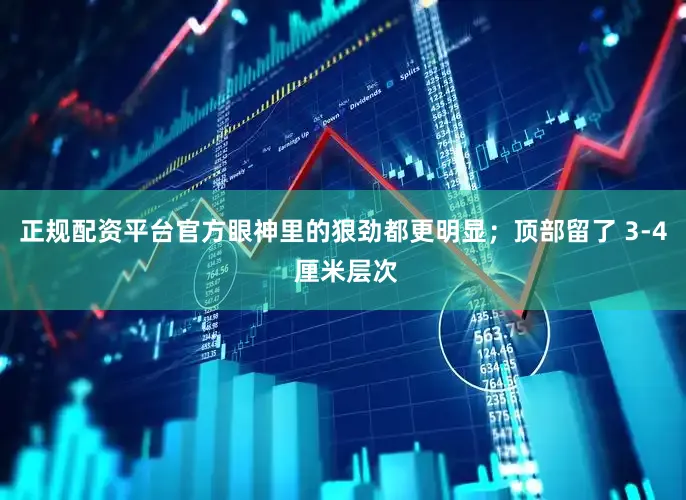 正规配资平台官方眼神里的狠劲都更明显；顶部留了 3-4 厘米层次
